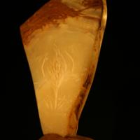 rocher à l'arbre #2