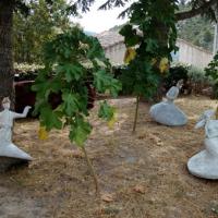 Sufis toupies, grande taille