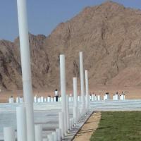 les colonnes dont les hauteurs indiquent le nombre de morts dans chaque pays en guerre