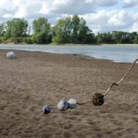 Imagin'Eaux, Montjean/Loire, bois, pierres et éléments des bords de Loire