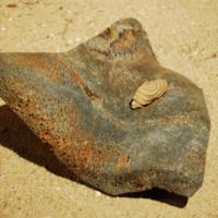 La main de Siddartha à Bodgaya-pierre de la Butte et bois