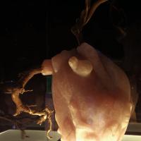 pink quartz and wood, poems/ quartz rose et bois flotté, poèmes