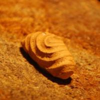 La main de Siddartha à Bodgaya-détail