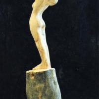 The pain of olivetree