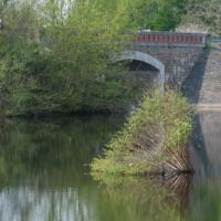 Corolles-Marais de Goulaine 2010