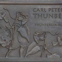 Dalle Terra Botanica, Angers, 2012