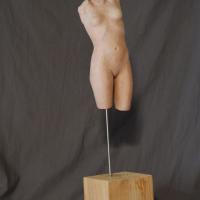 argile sur bois h: 50cm