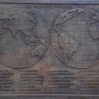 Dalle Terra Botanica, Angers, 2012