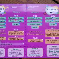 Les arts en délire, Ancenis, août 2014