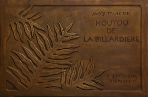 houtou