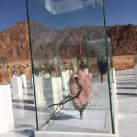 quartz rose et bois flotté, poèmes