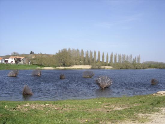 Corolles- Marais de Goulaine 2010