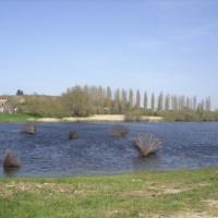 Corolles- Marais de Goulaine 2010