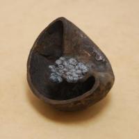 bol oryoki, bronze