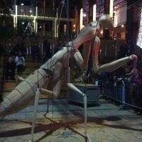 Mante Religieuse, Les Nefs, Nantes, 2014-2015